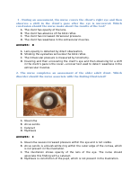 35 Sensory Management.pdf